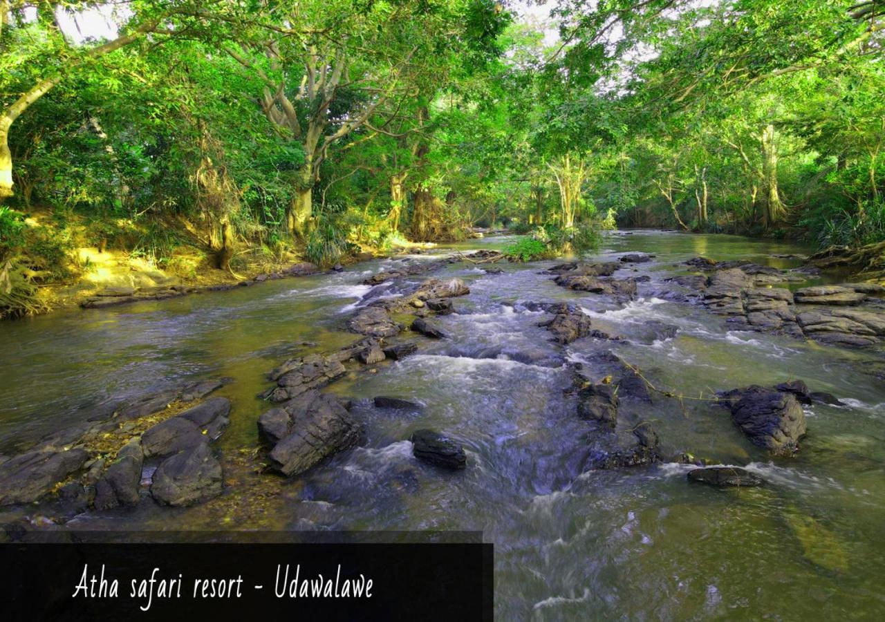 Atha Safari Resort & Riverside Camping Udawalawe Esterno foto